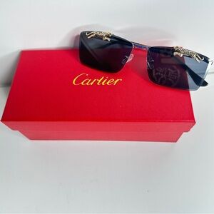 Cartier unisex Sunglasses | Excellent condition | essential accessories